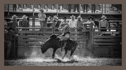 Behind the Scenes with Rodeo's Fiercest Bucking Stock!